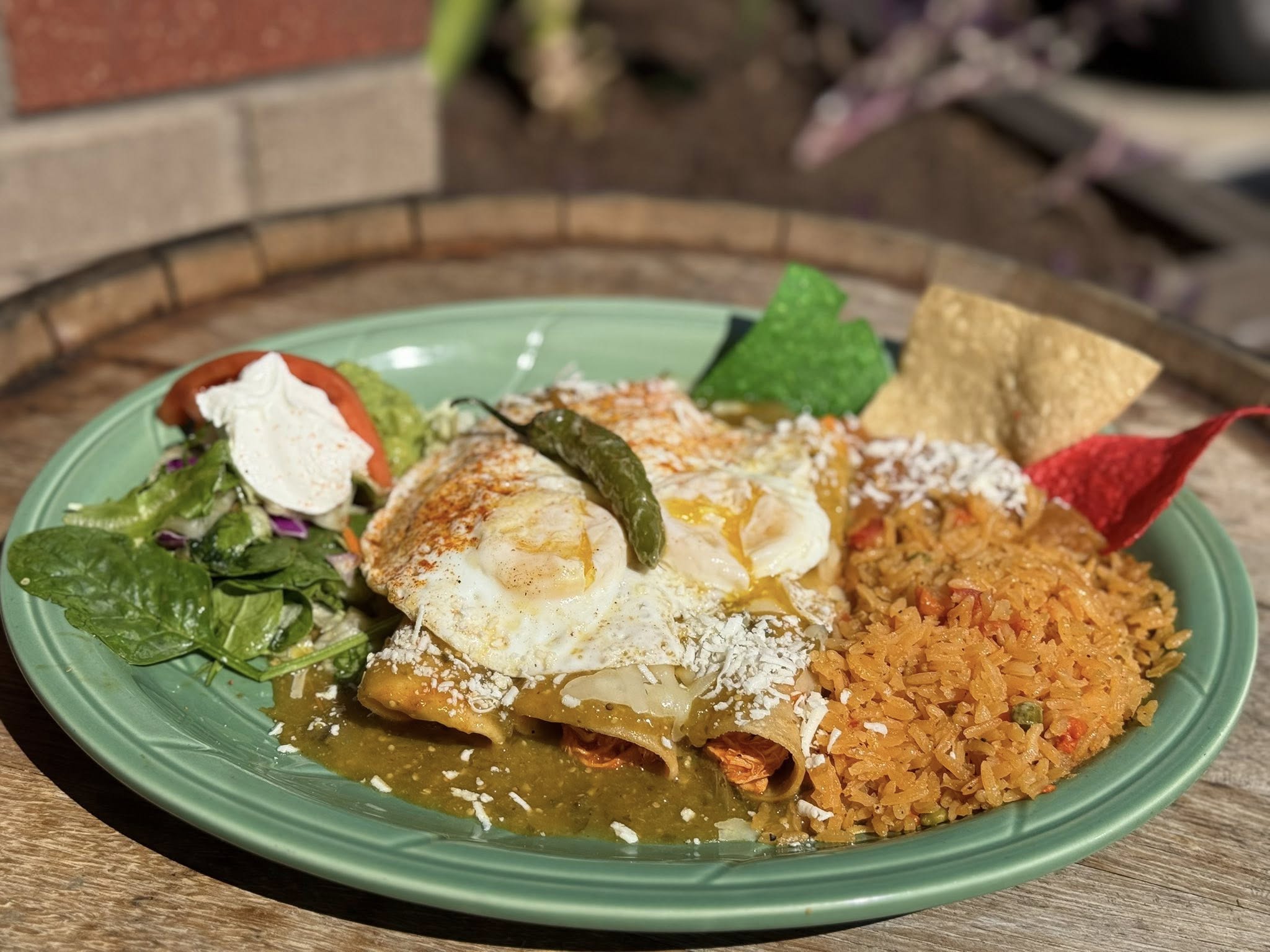 Green enchiladas with fried eggs on a green plate