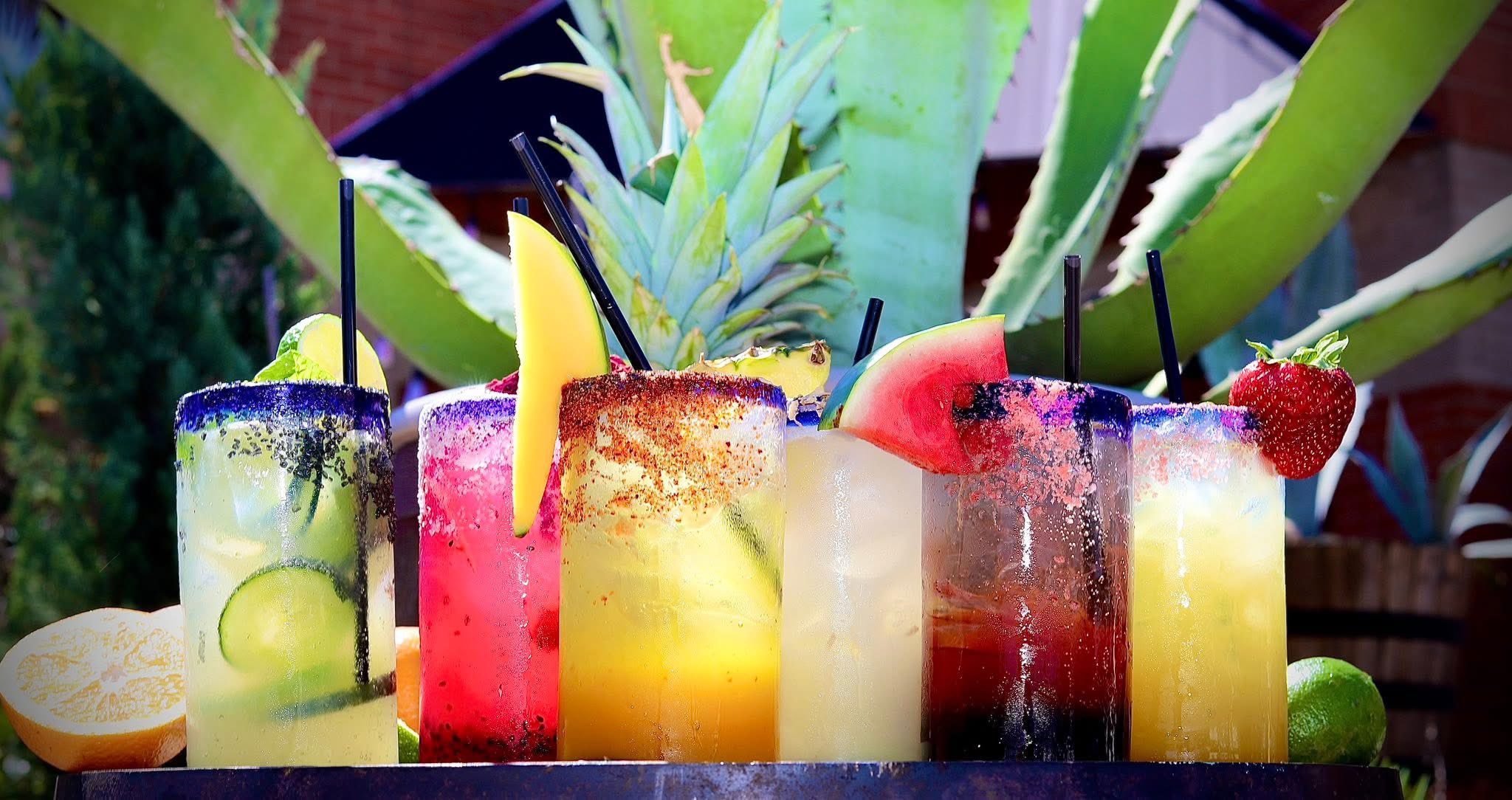 A row of six colorful margaritas in front of an agave plant
